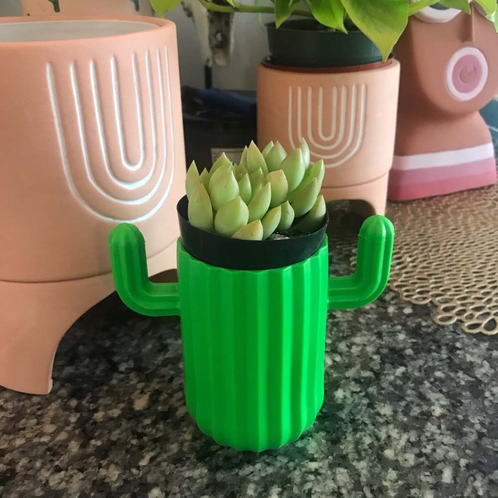 🎯Cactus🌵Brush/Pen Cup/Planter